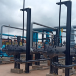 A Global Perspective on Biomass Gasification