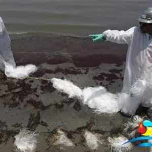 Pollution-Prevention Only Oil Snares