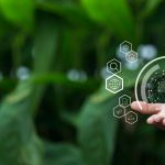 AI’s Role in Expediting the Green Energy Transition
