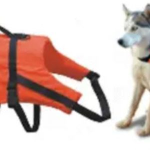 Pet Lifejacket and Buoyancy Aid