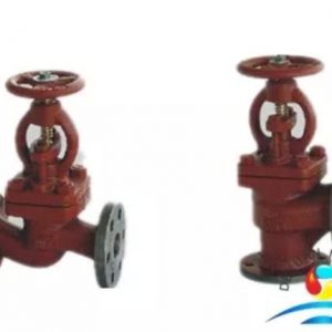 Marine Cast Iron Flanged Stop Check Valves
