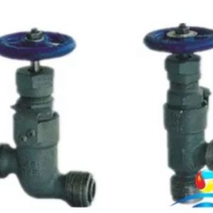 Marine Forged Steel Stop Check Valve