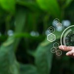 Ehtca Consulting Group and Partners: Driving the Future of Microgrids in Africa and Beyond